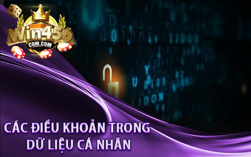 Các điều khoản trong dữ liệu cá nhân